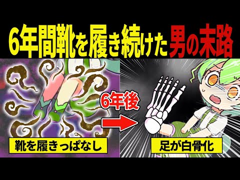 【実話】6年ぶりに靴を脱いだずんだもんの末路【ずんだもん&ゆっくり解説】