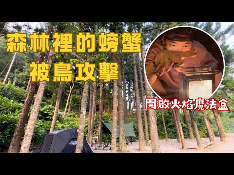 哲遊記Camping  ❤︎ 第35露｜車程不到一小時的森林露營區｜캠핑｜キャンプ｜camping ｜CAMVIL油爐燈開箱｜CAMVIL螃蟹帳篷｜文森知萊露營區