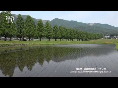 [KYOTO viewTV-15] 滋賀県（米原市・高島市） Shiga Prefecture (Mihara City, Takashima City) HD