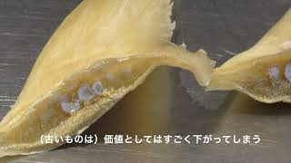 みやざわの世界〜フカヒレ２〜