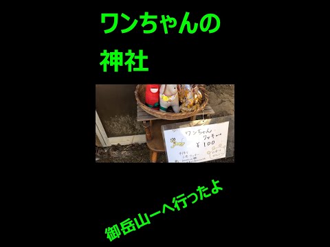 コロナ自粛期間でしたがお天気も良く暖かかったのでゴールデンレトリバーのマリンちゃんと犬の神社で有名なパースポット御岳山に山登り日本のマチュピチュ