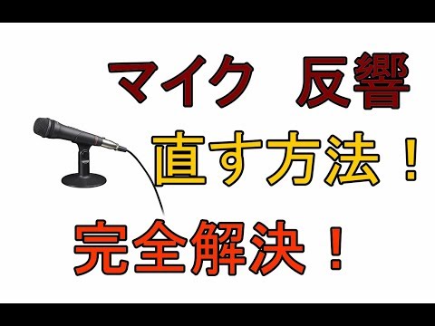 【PC】マイクの反響状態を直す方法 解説【アレッサ】