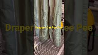 Drapery Cleaning from Cat Pee Pee