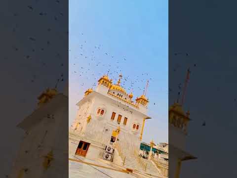 Amritsar - Golden Tample  || Watsapp Status