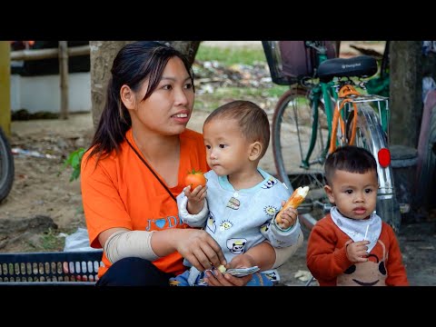 Single Mom Designs New Farm - Harvesting Ripe Tomatoes. TriệuThuThùy