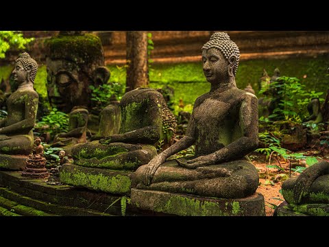 Buddha's Flute : Healing Mind | Enchanting Flute Music in the Forest for Serenity & Calm