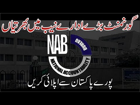 How to Apply for National Accountability Bureau Jobs 2024 - National Accountability Bureau Jobs 2024