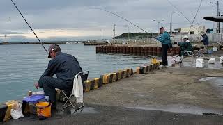 japan  Fishing Rural village harbor fishing