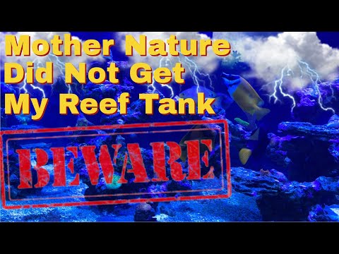 Save Your Reef Tank (Aquarium Back Up Plan) Must View This