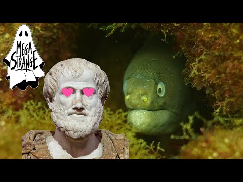 Psycho Eel Facts (Ancient Greece Edition) - Mega Strange Clips