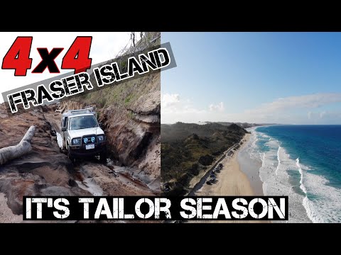 FRASER ISLAND 4x4 - Part 1 -Beach Camping and Fishing Adventure - Catch and Cook Deep Fried Tailor