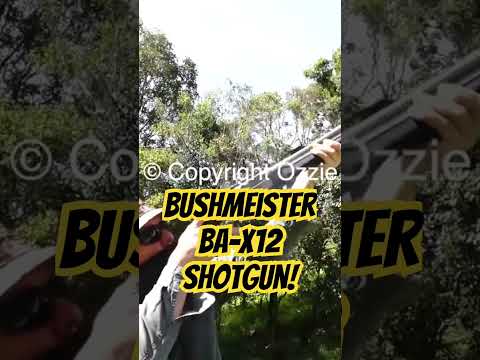 Bushmeister BA-X12 shotgun #ozziereviews #shooting #12gauge #12ga #shotgun #shotgunhandcam #gun