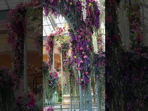 Botanical Gardens at Bellagio Las Vegas (一）