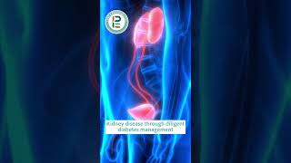 Diabetic Kidney Treatment Solutions - The Park Endocrinology #diabetes  #chronicdiabetes #kidneycare