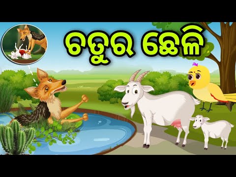 ଚତୁର ଛେଳି | Chatura Chheli | Tiki Chadhei | Odia Gapa | Chadhei Gapa