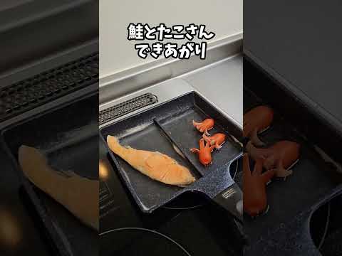 【お弁当作り】専業主婦が作る旦那弁当～定番のり弁編～　#shorts