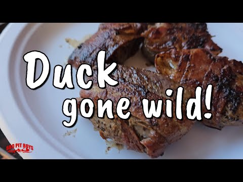 A Wild Duck Feast at the Pit.