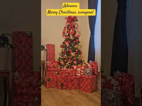 Advance Merry Christmas, everyone #christmas #christmas2024 #shortvideo #shorts #short