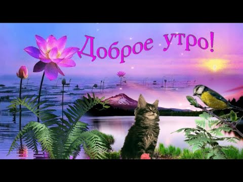 Доброе Утро! Яркого Вам  Солнечного Дня!  Красивая  Песня ! Музыкальная Открытка Доброе утро!