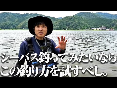 夏の日中に“何も考えずに巻くだけ”。シーバス釣り始めるなら、この釣り方から始めてみては？