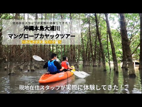 【沖縄本島北部】現地在住者が実際に体験！大浦川マングローブカヤックツアー魅力ポイントまとめ