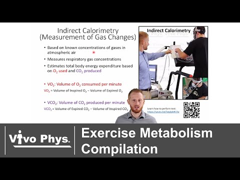 Exercise Metabolism Compilation