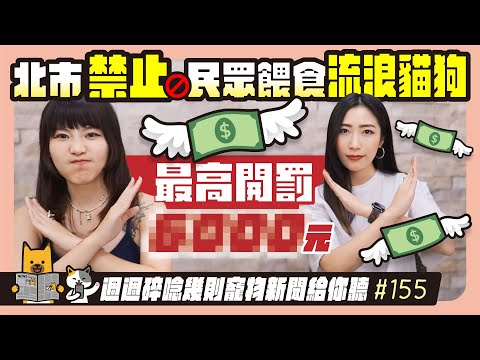 EP. 155北市禁止民眾餵食流浪貓狗，最高開罰6000元｜毛爸媽碎碎唸