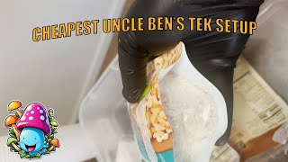 Cheapest Way to Grow Mushrooms –The Cheapest Uncle Ben's TEK Setup (ep1)