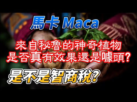 號稱超級食物的瑪卡，是不是值得推薦的產品?