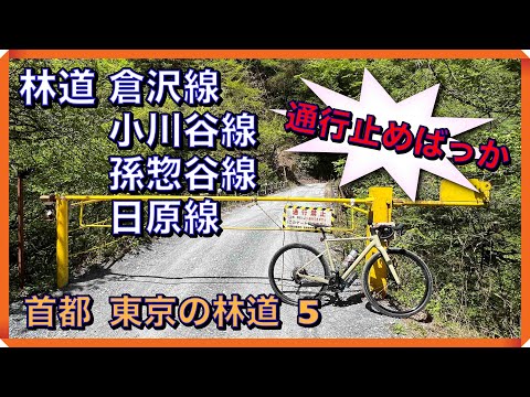 奥多摩の林道探索　林道 倉沢線・小川谷線・孫惣谷（まぐそだに）線・日原線　日原街道沿いの林道　　　【グラベルさんいらっしゃい】