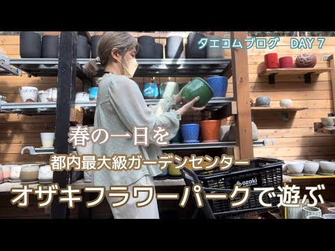 50代主婦ブログ。春の一日をオザキフラワーパークで遊ぶ。卵8個の卵焼き。