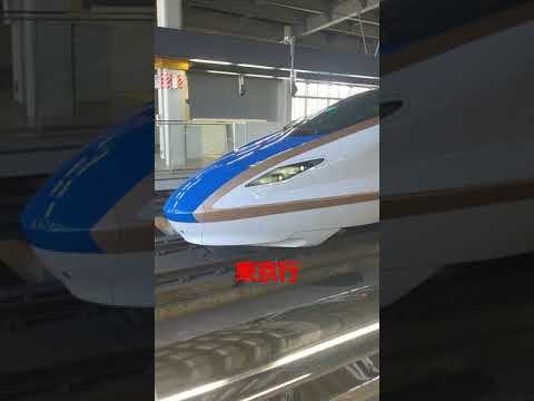 北陸新幹線はくたか号 金沢駅