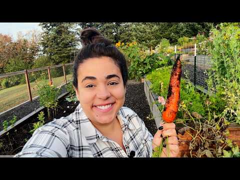 A Full October Garden Tour and It's Just as Abundant as the Summer Garden!