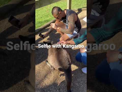 Selfie with Kangaroo  | 和袋鼠🦘自拍🤳