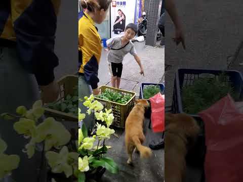 FamilyMart 81-year-old grandfather selling potted plants 南機場全家便利商店 81歲 賣花的老爺爺