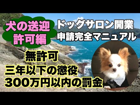 【犬の送迎許可編】ドッグサロン開業申請完全マニュアル