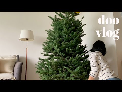 Vlog 🌟 Getting a Christmas Tree | Donki grocery shopping | Red bean paste toast | Singapore vlog