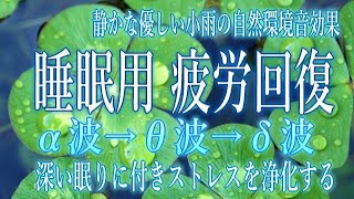 【不眠症改善】自律神経を整える睡眠導入の静かな雨音　柔らかな小雨の音を聞きながらリラックスして眠る　眩しくないブラックスクリーン　瞑想・読書・作業・癒し・浄化・睡眠障害　soft rain sound