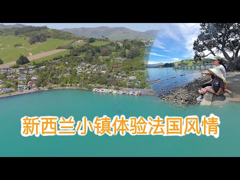 新西兰海边感受法国小镇风情和初夏的温暖（新西兰 Harold Vlog 818）