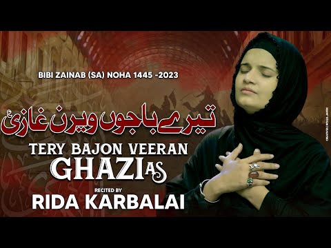 Tere bajon weeran Ghazi slwt | Rida karbalai 2023 | New Noha