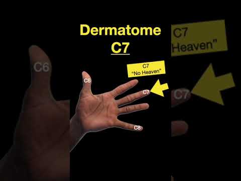 Testing Dermatomes, Myotomes and DTRs #shorts  (Part B)