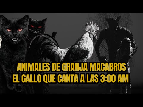 Animales de Granja actuando como humanos. El cerdo deforme.