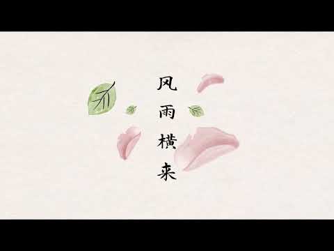 新谣音乐 - 菊花与玫瑰