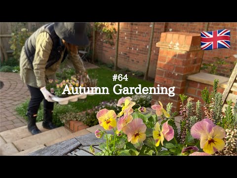 #64 Autumn Gardening | Planting Violas in the flower beds | New bulbs and seeds