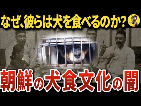 【閲覧注意】朝鮮半島に伝わる犬食文化がヤバすぎた【世界史】