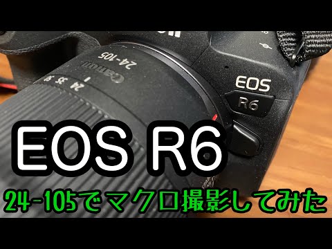 EOS R6 24-105でマクロ撮影してみた