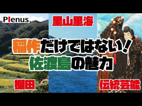 【後編】佐渡市環境アドバイザー服部謙次氏が語る トキの暮らす島・佐渡の米文化と里山の風景