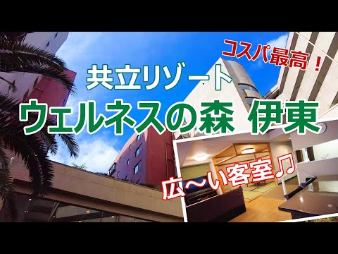 【温泉ホテル宿泊記】伊東温泉で“ウェルネスの森 伊東”に宿泊しました♪超コスパなのに天然温泉＆絶品バイキングを楽しめる素敵なお宿をご紹介します［伊豆高原の旅］