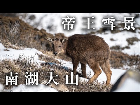 雪季南湖大山 | 帝王之山雪景 | 南湖大山3天2夜 | 沉浸式登山體驗