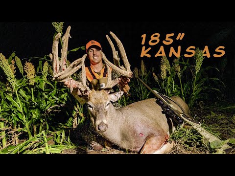 FULL VELVET GIANT!!! First Time Hunting w/ a Muzzleloader in Kansas…